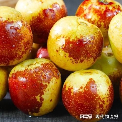 全链发力护鲜品顺丰 双十一以高效物流保障生鲜直达与极致体验